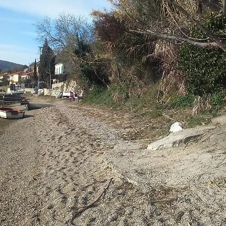 Daire Gobo Trgetari