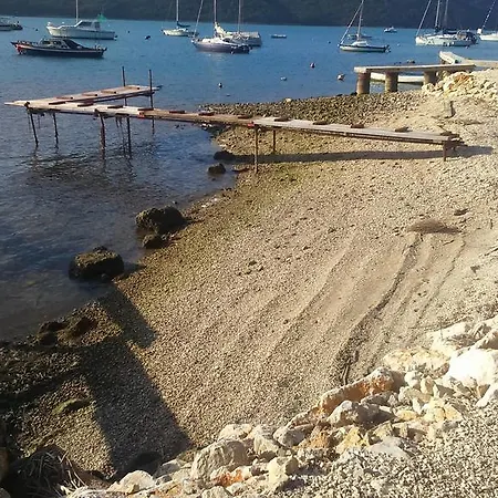 Gobo Daire Trgetari